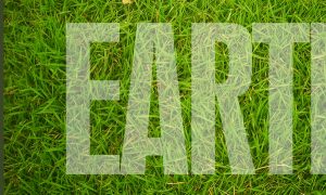 how-to-create-a-grass-covered-text-in-photoshop-step-10