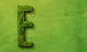 how-to-create-a-grass-covered-text-in-photoshop-step-19