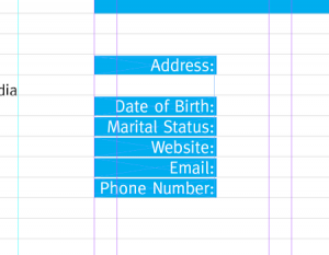 create-a-grid-based-resume-cv-layout-in-indesign-16