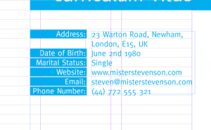 create-a-grid-based-resume-cv-layout-in-indesign-17