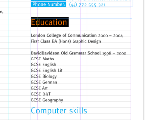 create-a-grid-based-resume-cv-layout-in-indesign-18